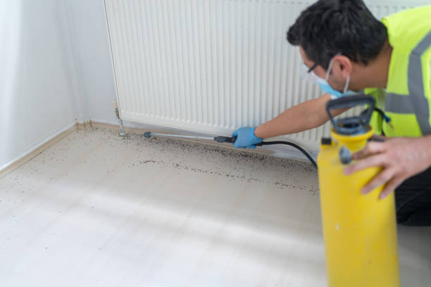 Flea Control Services in Blackville, SC